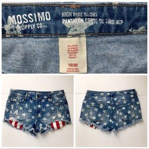 American Flag Stars and Stripes short Shorts